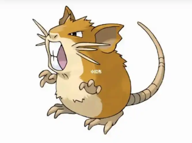 raticate全国图鉴:020属性:一般,恶 一般(阿罗拉)分类:鼠宝可梦特性