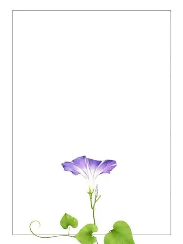 1000_1333竖版 竖屏