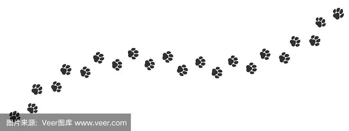 白色背景上的猫或狗的爪印