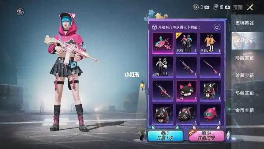 和平精英神秘黑猫