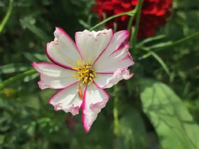 三*人生,面对自己需要勇气;改善自己,需用聆听心里;经营自己,更是要有