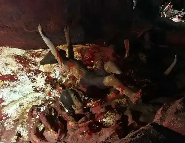 揭秘虎豹别墅十殿阎罗内有血腥画面慎点