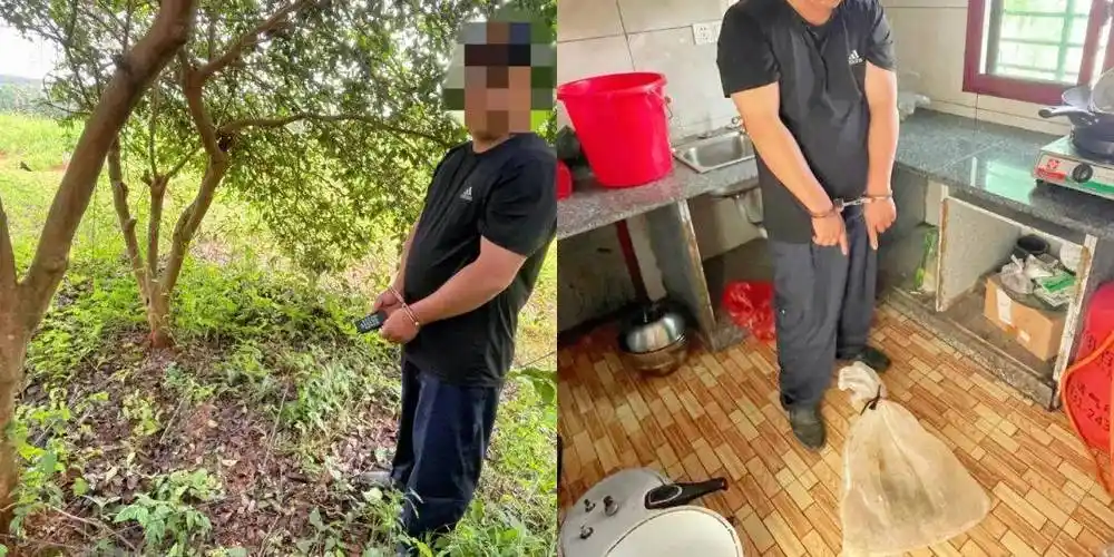 这鸡可抓不得_非法_工具_竹鸡