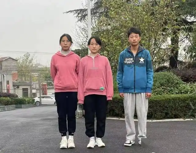 槐林镇初中18名同学获奖,一等奖4人_获得者_政治_三等奖