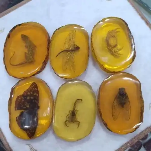 厂家批发琥珀蜜蜡昆虫标本人工虫珀学生观察螃蝎蜻蜓龙虾摆件把件