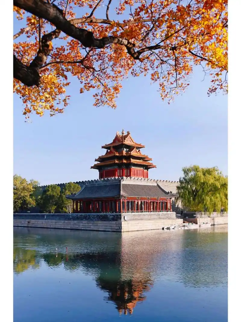 秋天的故宫是很漂亮的,但是不一定非得进故宫,故宫城墙外四周也有赏