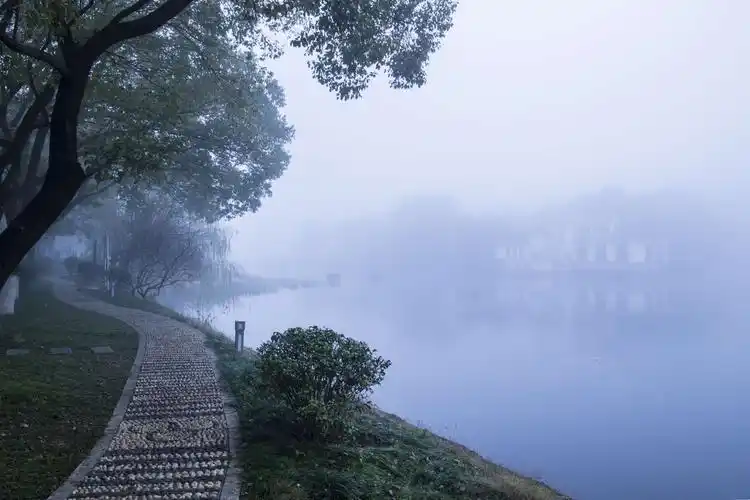 其它 雾景 写美篇  元月12日一场大雾弥漫小城_津市,能见度不足百米