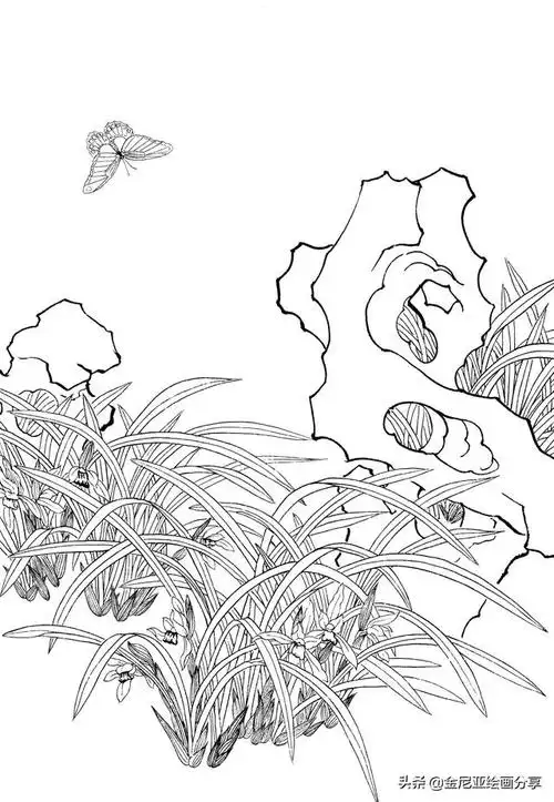 工笔线描-兰竹