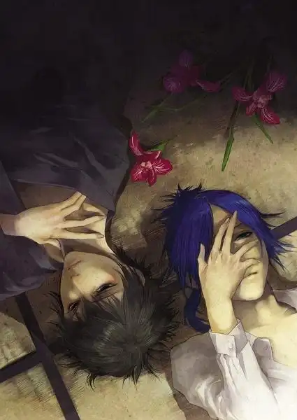 家庭教师,骸云,云雀恭弥,六道骸