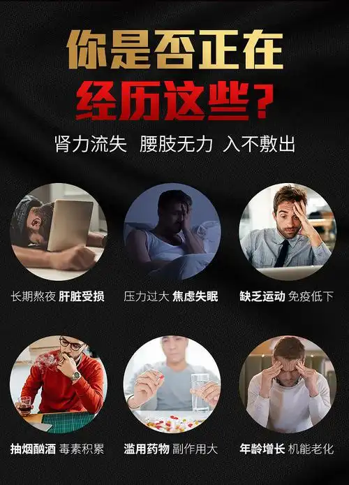 男性保健食品男性品成人男人用品大全淫羊藿非玛咖片滋补澳福来淫羊藿
