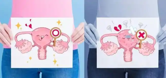 第二种:女人卵巢保养的手法步骤