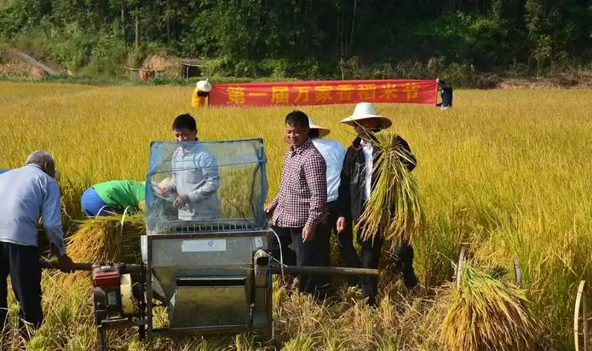 勤劳脱贫致富 农民喜奔小康(叙事美篇)——跟着我去山区,见证农村亘古