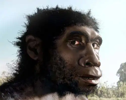 完成后的东非直立人,来自《变成人类》纪录片.