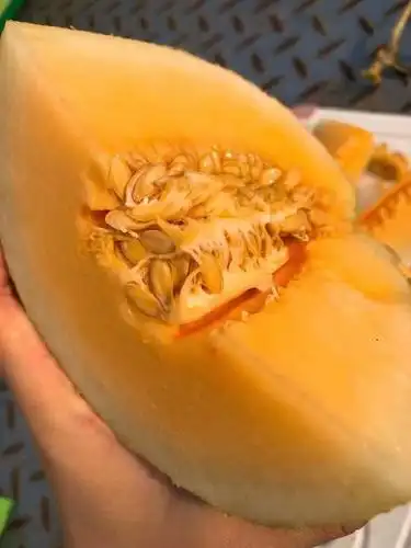 海南西域香妃蜜瓜脆甜多汁皮薄甜度高达188
