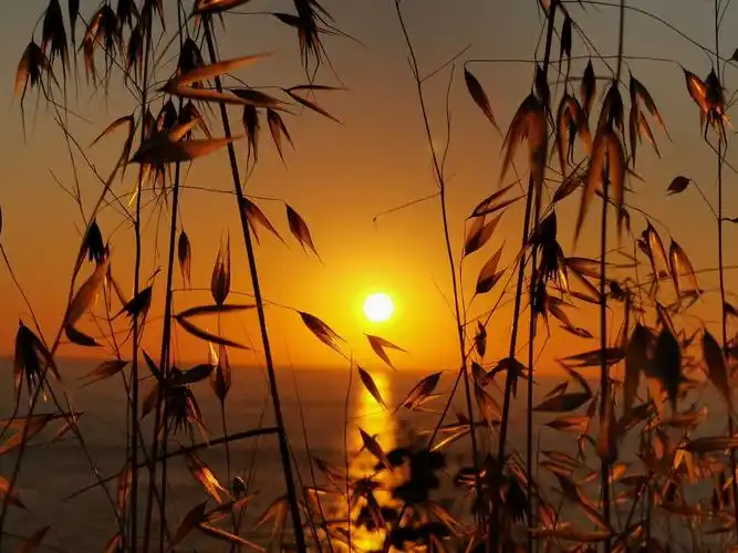 土耳其全心之旅