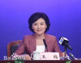 王梅图片_百度百科