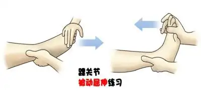 在自感无痛或微痛条件下,主动,缓慢用力,最大限度屈伸踝关节,每次10