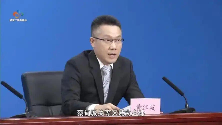 蔡甸区委常委,副区长 黄江波:重点发挥"两城引领"