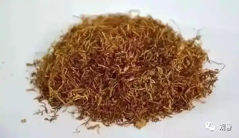 涨姿势卷烟有真假烟丝也有真假