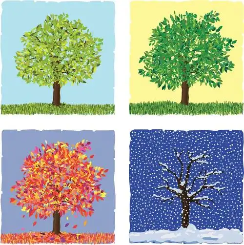 四季轮回,月份的细致划分