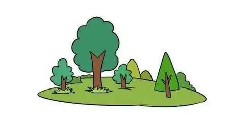森林分层图简笔画