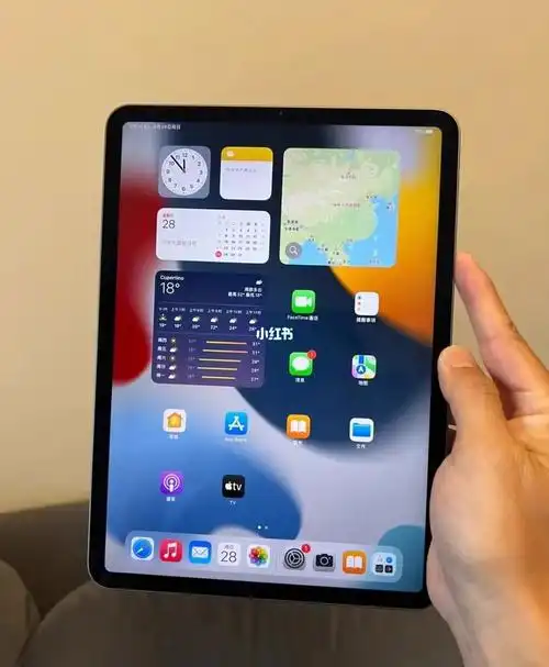2021款ipadpro11寸256g深灰色m1芯片4899