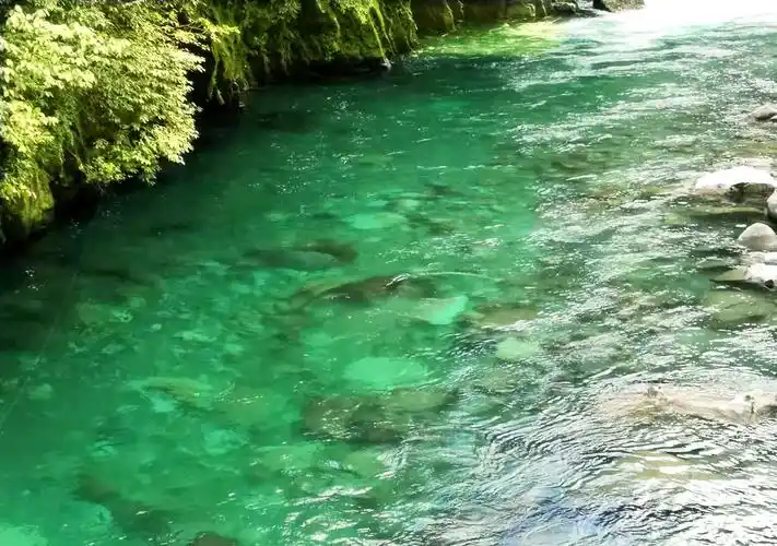 幽兰碧绿的河水清澈见底.