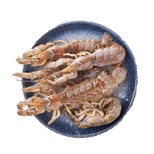 泸沽虾鲜活蝼蛄虾活虾特大号芦沟海虾虎虾皮皮虾大连海鲜2.5斤装