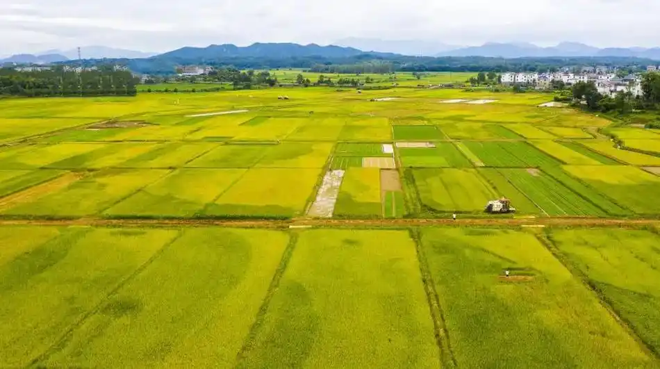 中国式现代化农业助力美丽乡村振兴