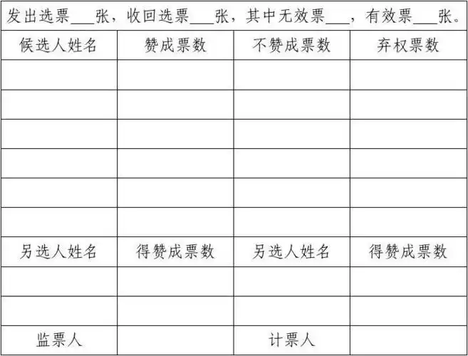 清点选票报告单