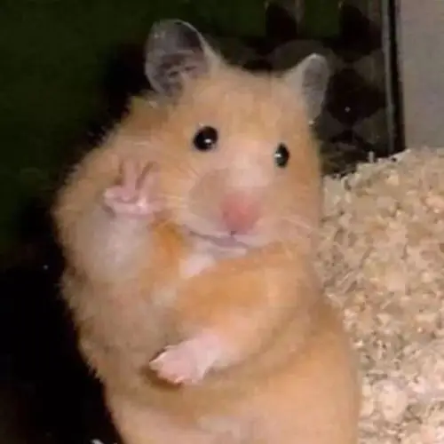 可爱头像沙雕头像