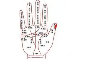 事业线是哪一条手相事业线怎么看