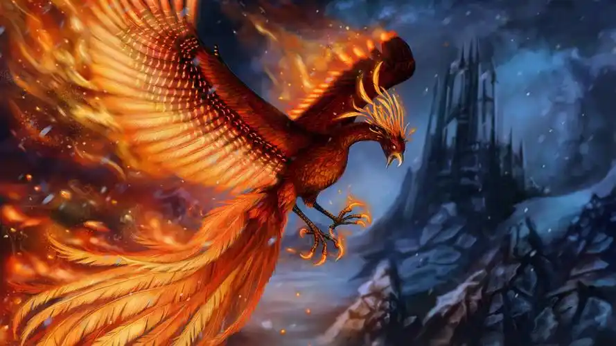 美丽的凤凰,翅膀,尾巴,艺术图片 iphone 桌布