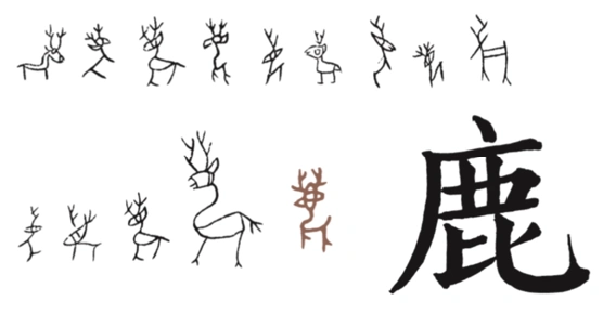 安阳出土的文物也能证实这一点:鹿骨是常见的,鹿是经常出现在装饰镌刻