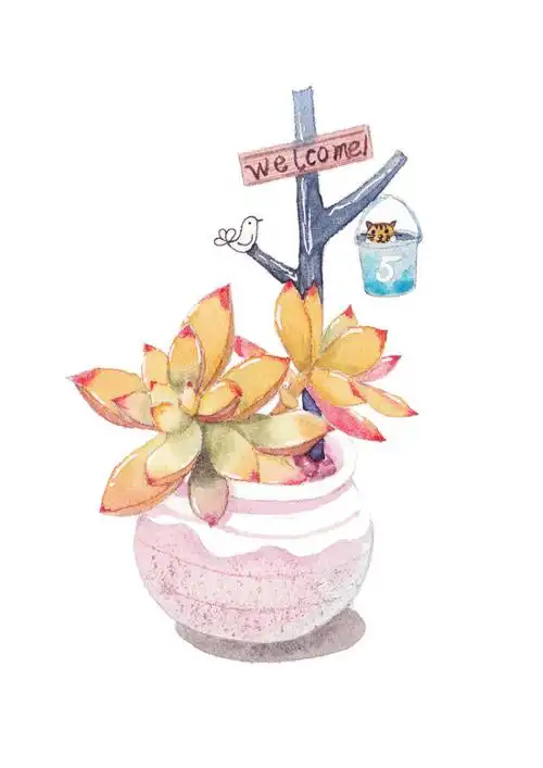 手绘水彩多肉(6张图)-小喵小姐_水彩,插画,胶带,多肉,多肉植物,手绘