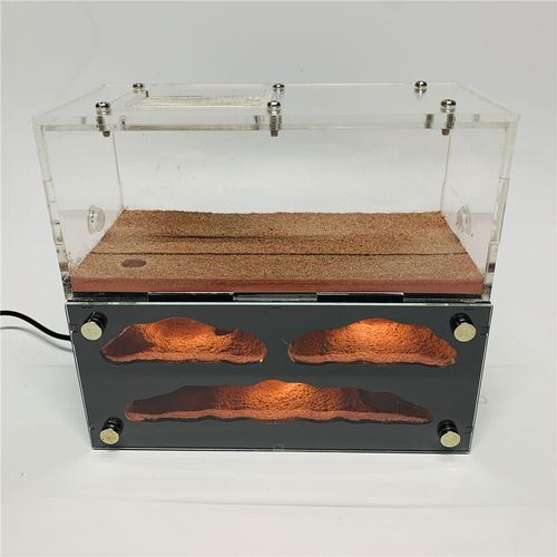 【蚂蚁城堡】宠物蚂蚁生态农场夜灯版工坊新后蚁巢亚克力蚂蚁窝