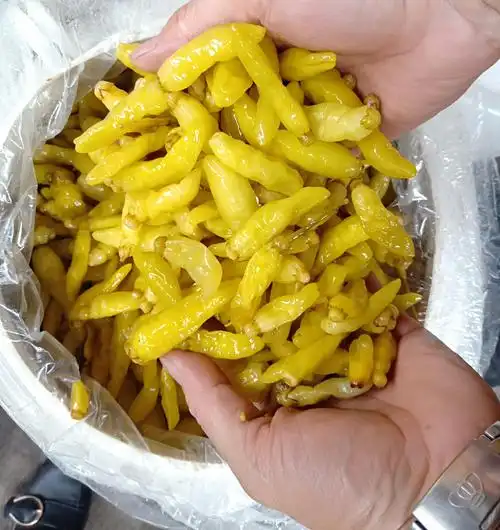云南泡辣椒泡小米辣椒野山椒泡椒凤爪辣椒酸菜鱼辣椒泡椒批发