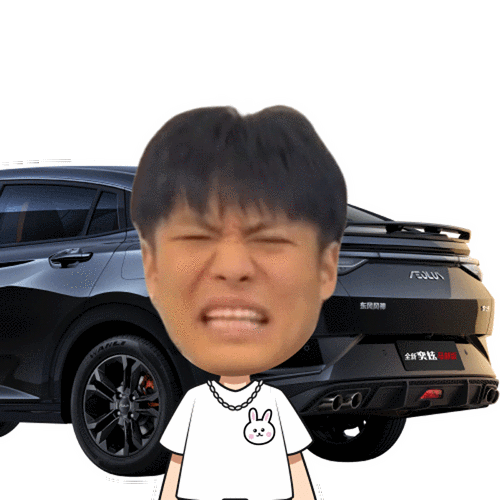 点击领取疯狂小杨哥新年表情包