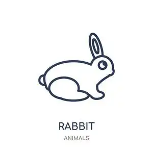 动物简单线图兔子图标.兔子线性符号设计从动物收藏.
