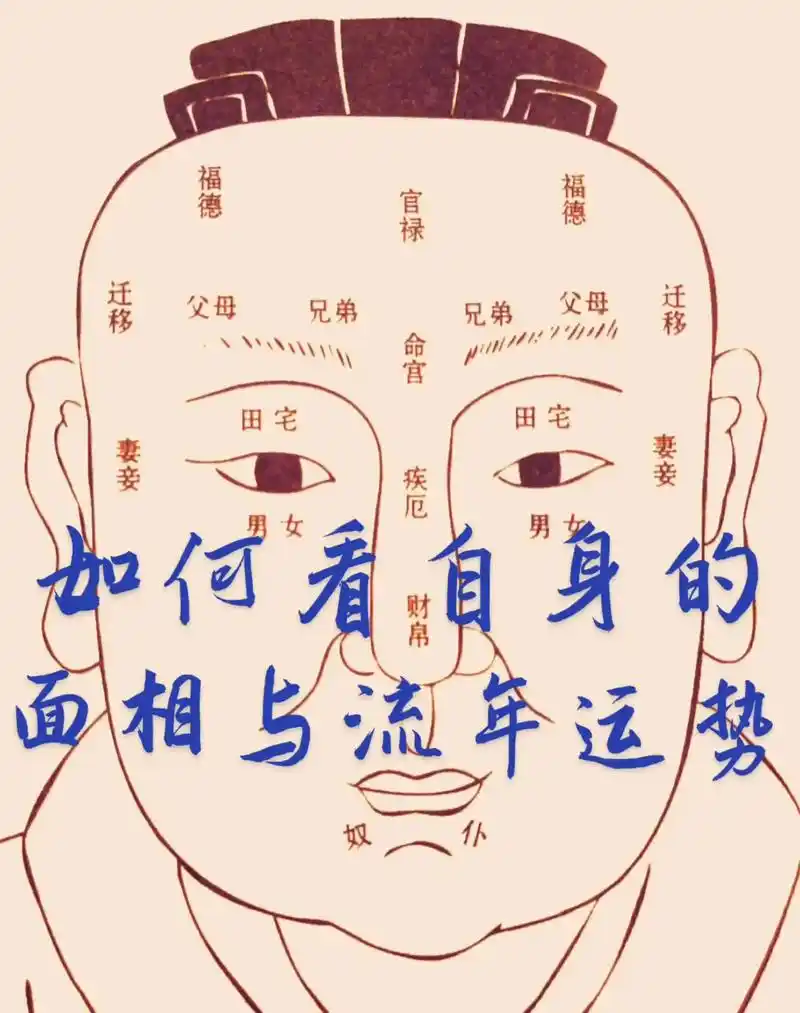 我要上热门 看鼻型:鼻像截断的竹筒或倒 - 抖音