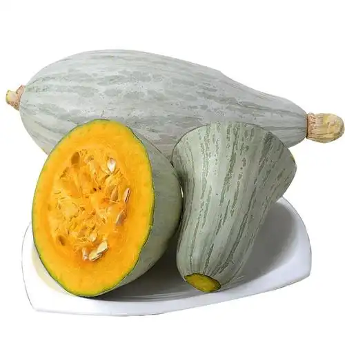 新疆贵族南瓜2个455斤装金丝板栗南瓜农家蔬菜参数