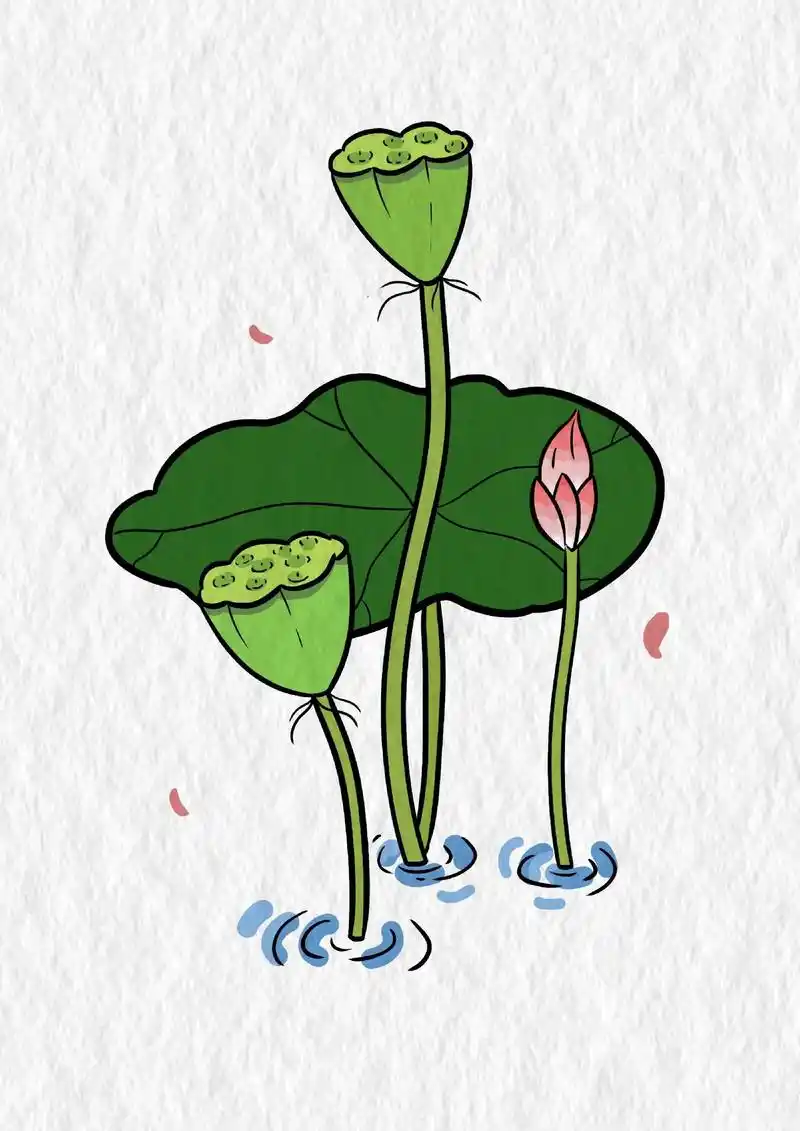 美丽的莲蓬简笔画,快收藏起来一起画吧! #简笔画 - 抖音