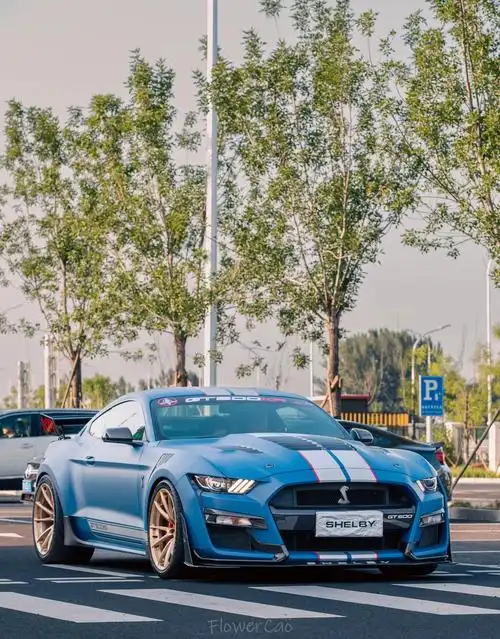 福特野马蝰蛇gt500 稀有物种 2022 shelbygt500kr