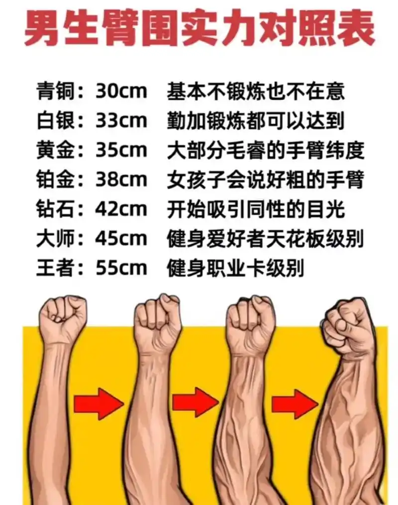 一直在健身的,来对照看 你们的臂围都达到什么段位了?#健身 - 抖音