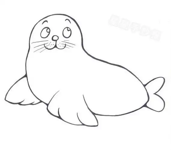 卡通海狮简笔画大图