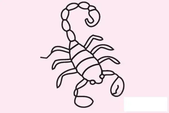 蝎子简笔画的画法及图片大全