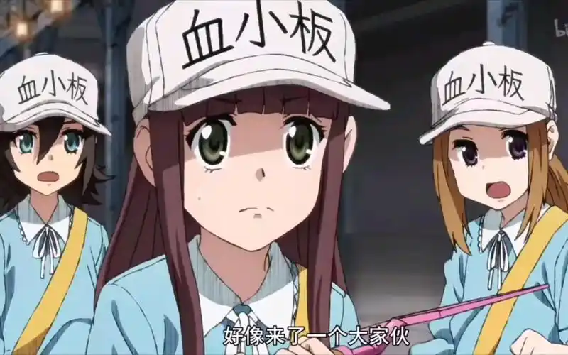 【工作细胞black】血小板太燃了