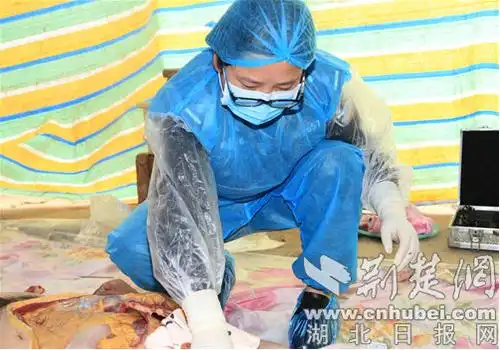9年解剖尸体300多具 襄阳女法医破解死亡"密码"