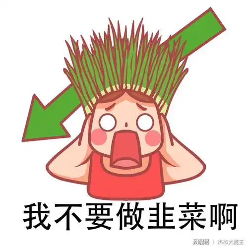 哈哈,如果大家不想变成大韭菜,那从今天开始我们就来一步一步的认识