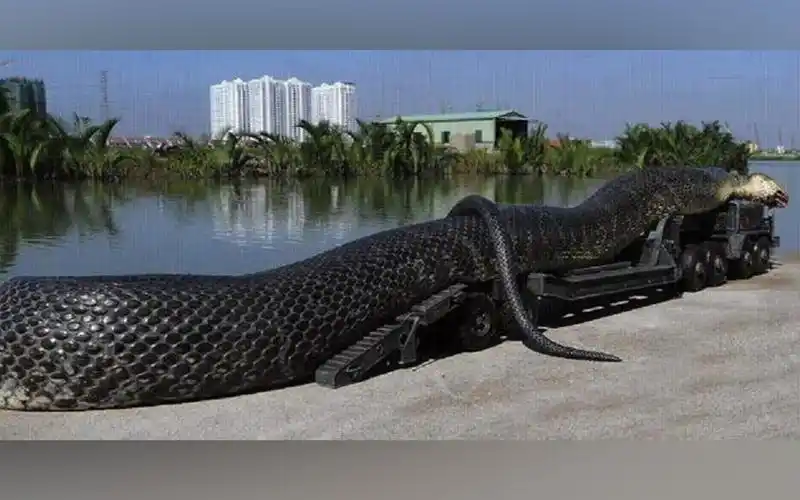 世界上最长的蛇,到底有多长?